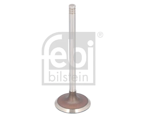 Intake Valve